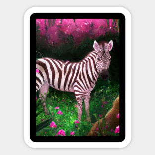 Pink Zebra Sticker